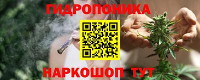 стафф Коммунар
