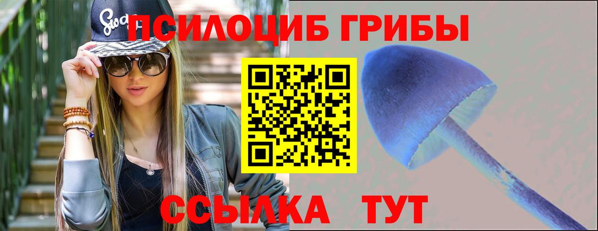 Галлюциногенные грибы GOLDEN TEACHER  Вход с VPN  Кстово  Псилоцибиновые грибы Cubensis 